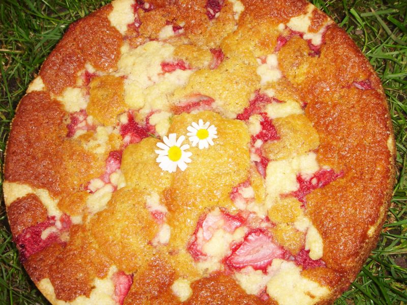 Ciasto z truskawkami i twarogiem