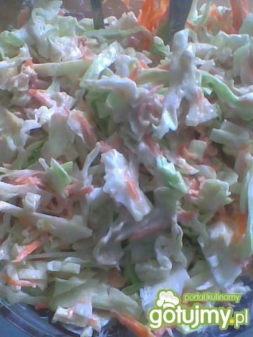 Coleslaw błyskawiczny