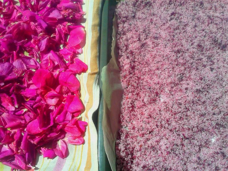 Cukier różany a`la Igraszki Losu