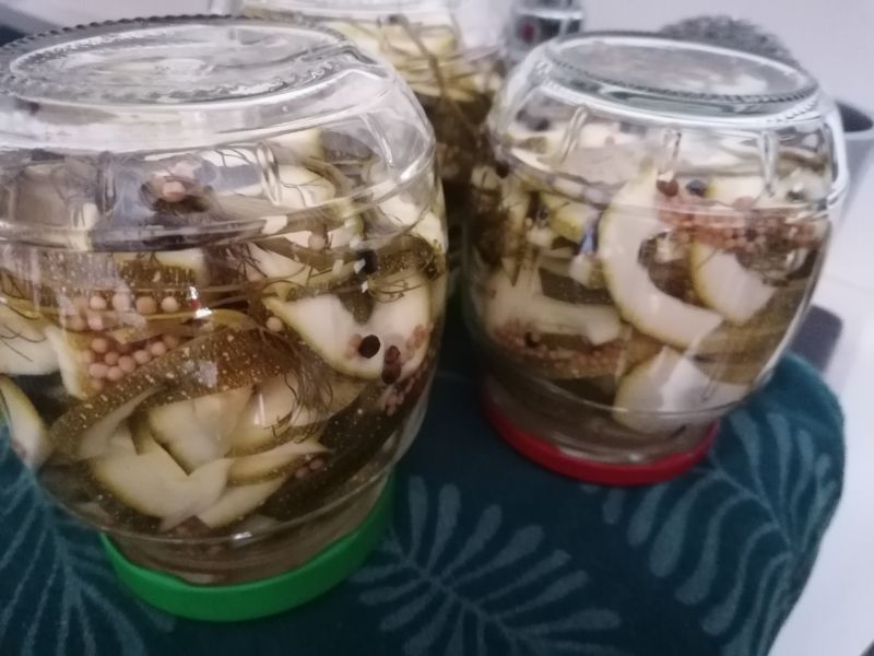 Cukinia w occie Cukinia w occie