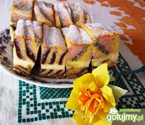 Cygańskie ścieżki