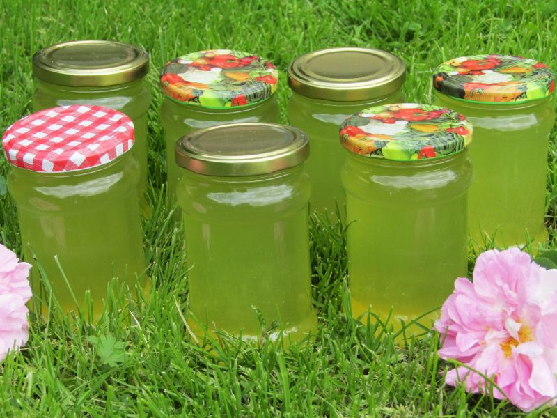 Cytrusowy syrop z kwiatów czarnego bzu Cytrusowy syrop z kwiatów czarnego bzu