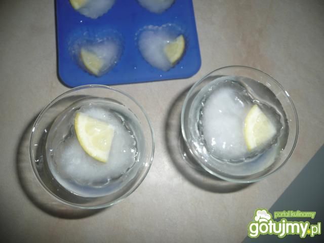 cytrynowe kostki lodu cytrynowe kostki lodu