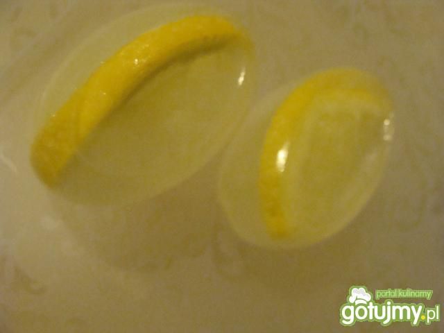 cytrynowe kostki lodu na letnie upały