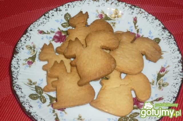 Cytrynowe wiewiórki - kruche ciasteczka