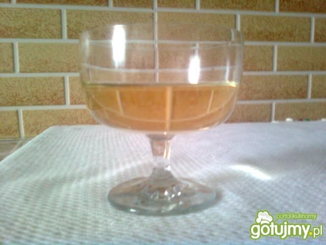 Cytrynówka Danusi Cytrynówka Danusi