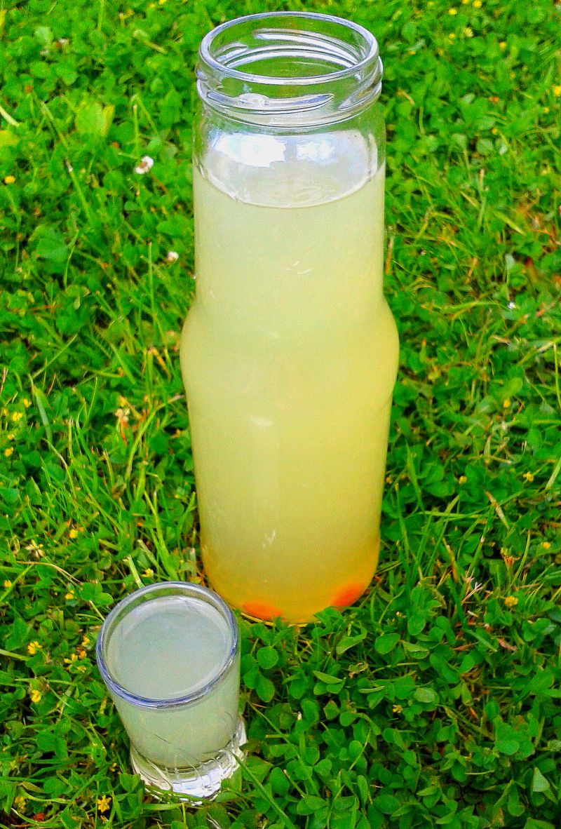 Cytrynówka `la Igraszki Losu