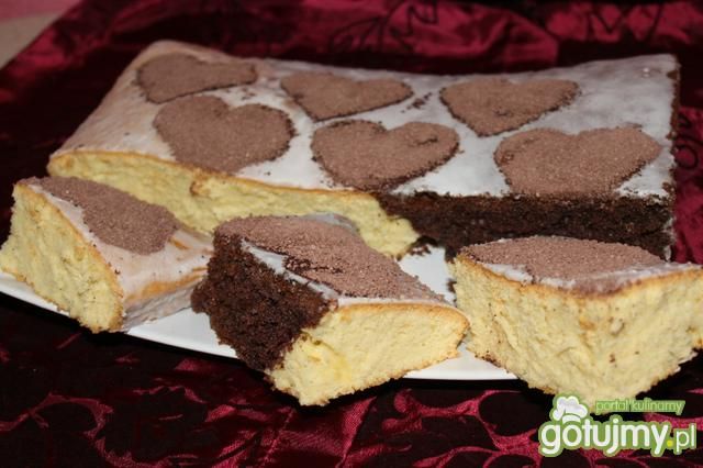 Cytynowiec murzynkowiec Cytynowiec murzynkowiec