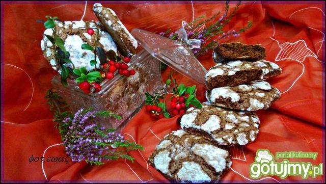 Czekoladowe ciasteczka Zewy