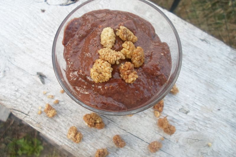Czekoladowy pudding z chia