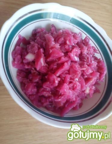 Czerwona kapustka obiadowa Czerwona kapustka obiadowa