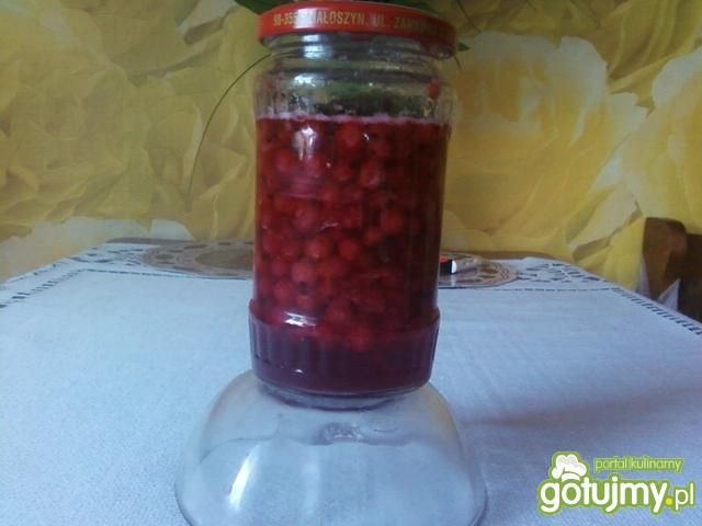 Czerwona porzeczka z miętą.