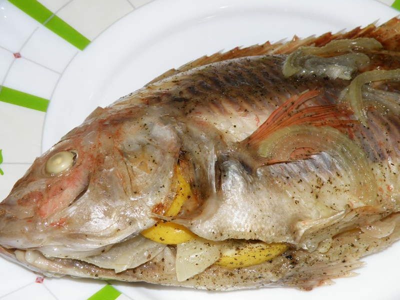 Czerwona tilapia z grilla Czerwona tilapia z grilla