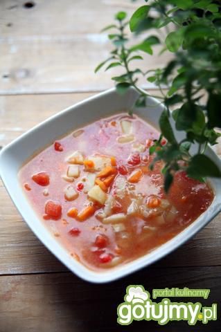 Czerwona zupa jarzynowa Czerwona zupa jarzynowa