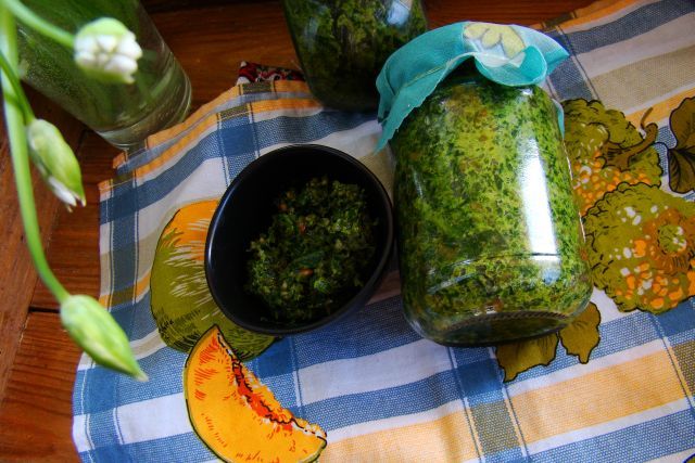 Czosnek niedźwiedzi z słonecznikiem 