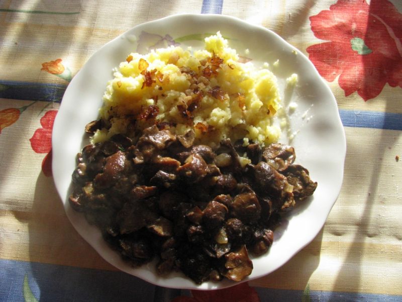 Danie z podgrzybków 