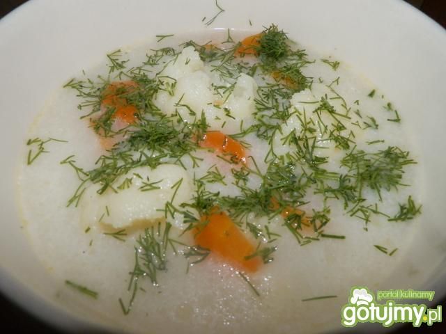 Delikatna zupa - kalafior i kalarepka. Delikatna zupa - kalafior i kalarepka.