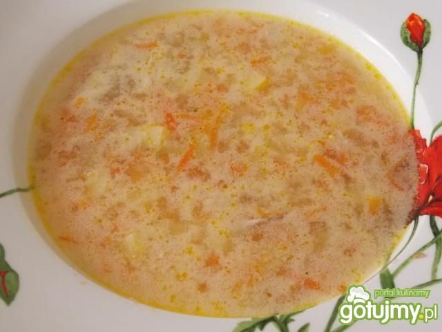 Delikatna zupka ogórkowa