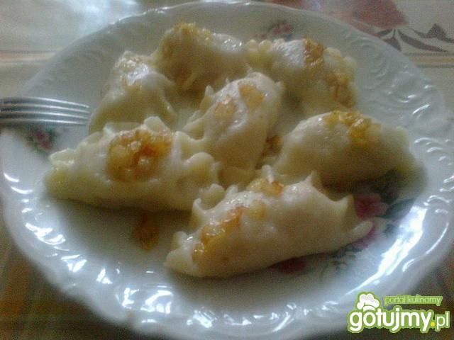 Delikatne pierogi z kapustą Delikatne pierogi z kapustą