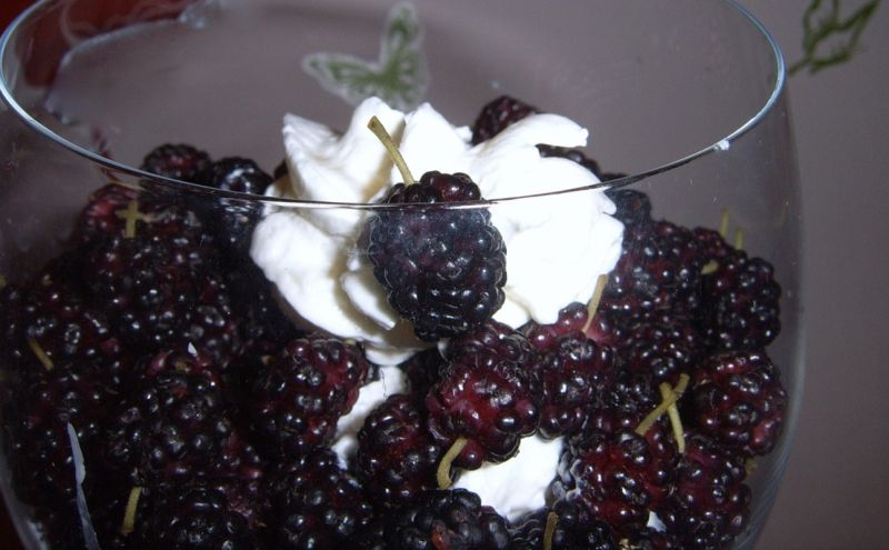 Deser z morwami Deser z morwami