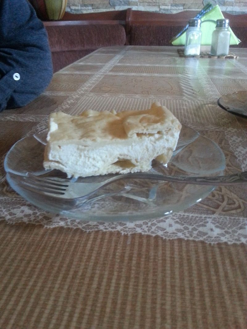 Domowa karpatka Domowa karpatka