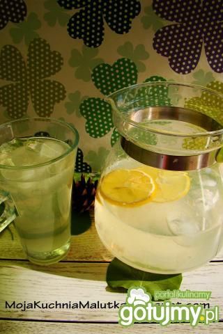 Domowa lemoniada  Domowa lemoniada