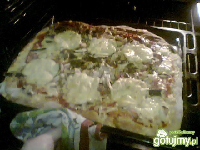 Domowa pizza Domowa pizza