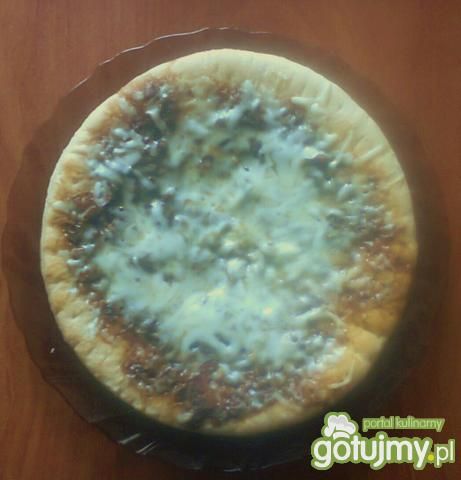 Domowa pizza z serem i pieczarkami Kaja Domowa pizza z serem i pieczarkami Kaja