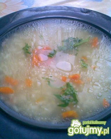 Domowa ryżanka Domowa ryżanka