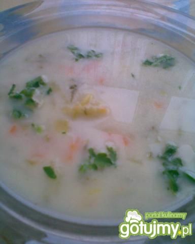 Domowa zupa ogórkowa. Domowa zupa ogórkowa.