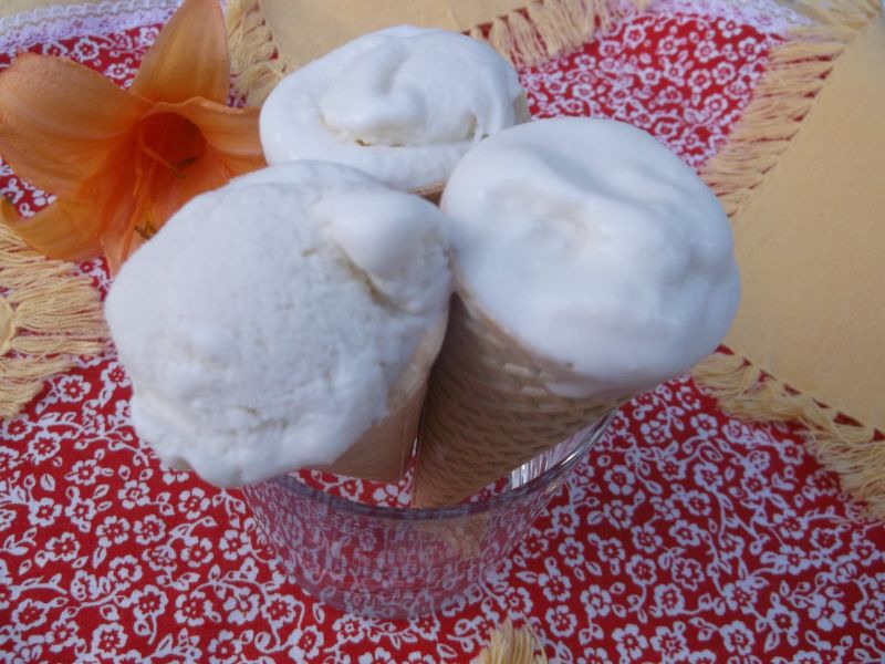 Domowe lody kokosowe Domowe lody kokosowe