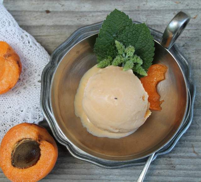 Domowe lody morelowe