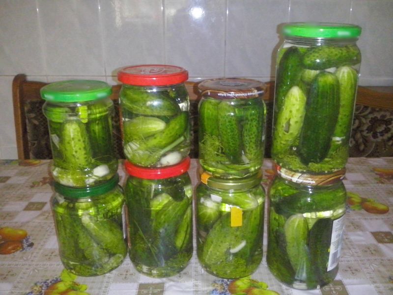 Domowe ogórki kiszone. Domowe ogórki kiszone.