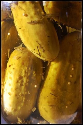 *Domowe ogórki konserwowe*