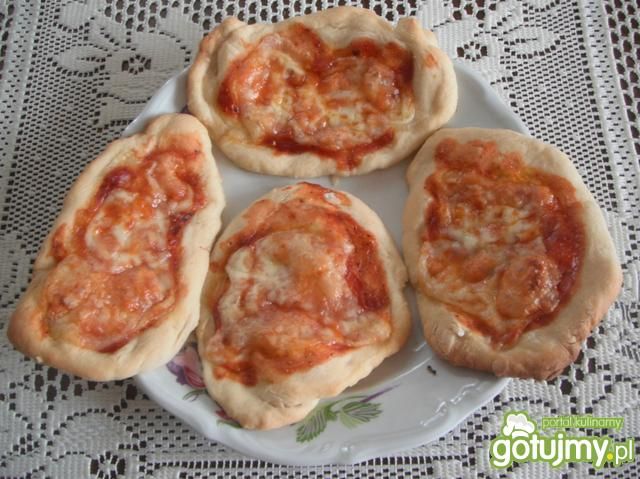 Domowe pizzerki Domowe pizzerki
