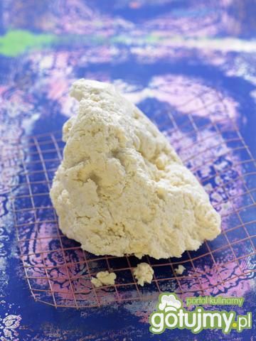 Domowy indyjski ser panir