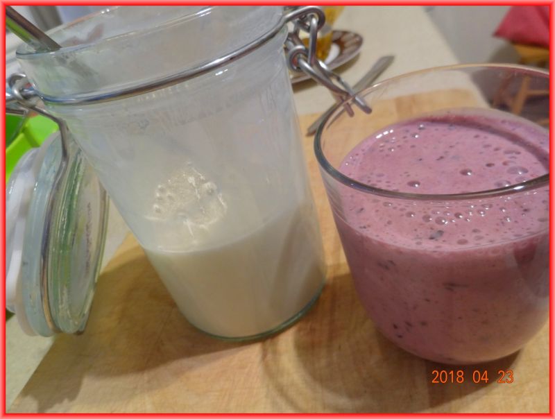 Domowy jogurt naturalny Domowy jogurt naturalny