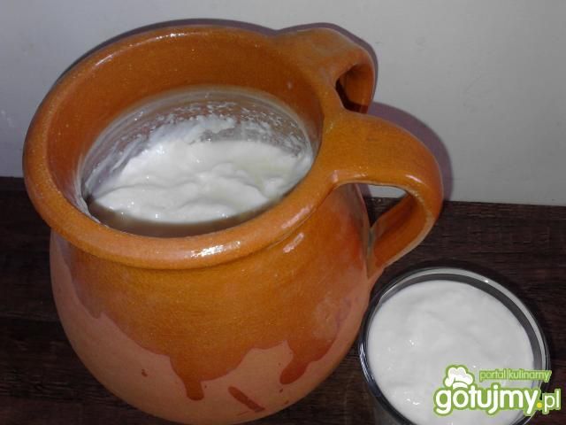 Domowy kefir