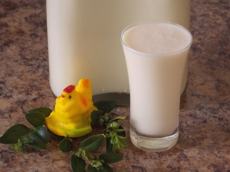 Domowy likier malibu Domowy likier malibu