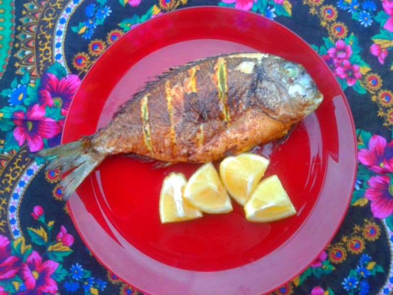 Dorada marynowana na żółto Dorada marynowana na żółto