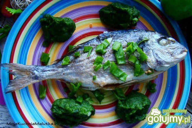 Dorada z piekarnika z puree z szpinaku  Dorada z piekarnika z puree z szpinaku