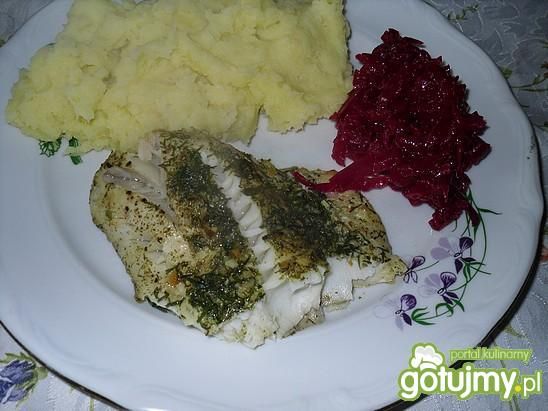 Dorsz koperkowy Dorsz koperkowy