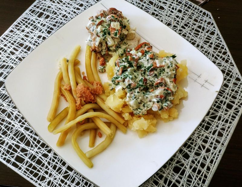 Dorsz w sosie kurkowym 