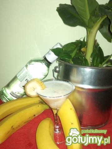 Drink Monkey Drink Monkey