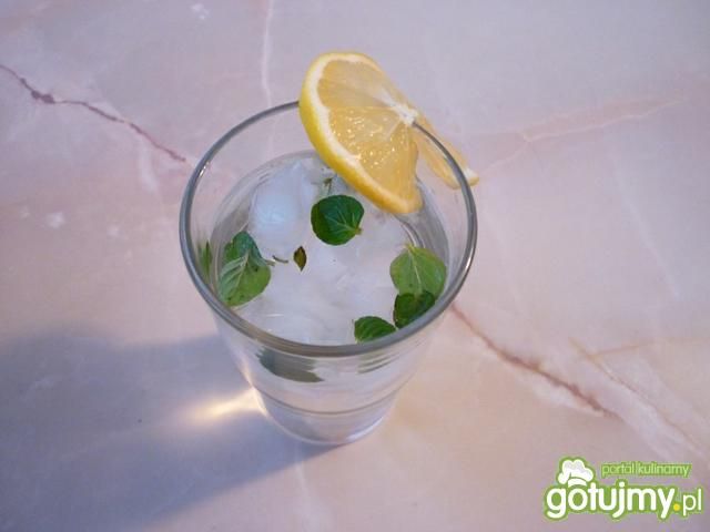 Drink z białym rumem i miętą Drink z białym rumem i miętą