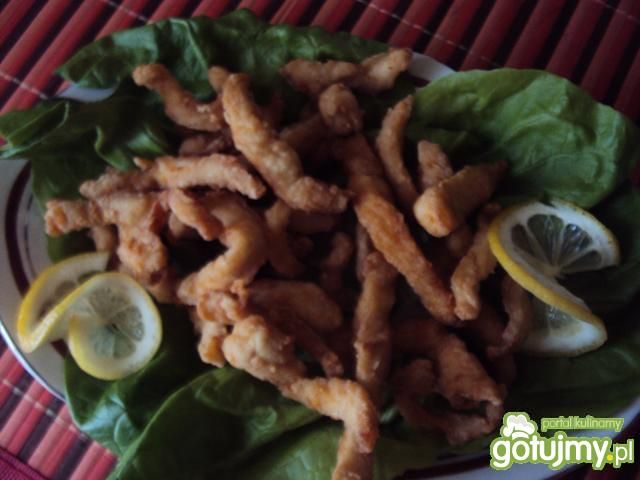 drobiowe świderki drobiowe świderki