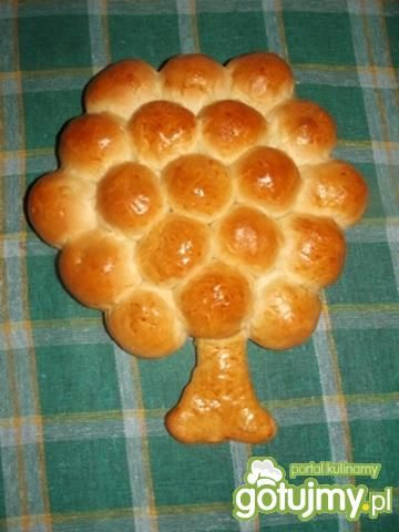 Drzewko szczęścia Drzewko szczęścia