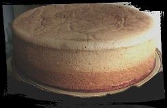 Duży puszysty biszkopt