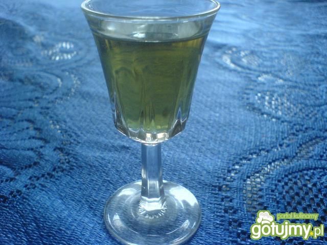 Dzięgielówka Dzięgielówka