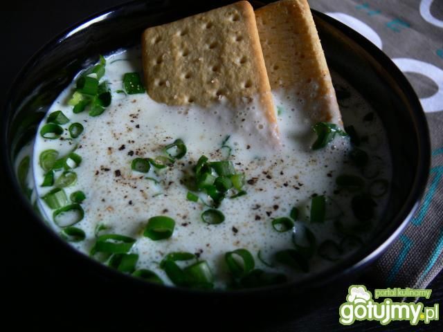 Ekspresowy chłodnik ogórkowy